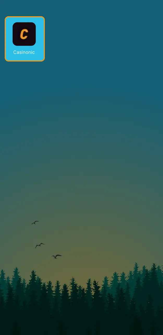 Launch your Casinonic app and check for the newest update available now.