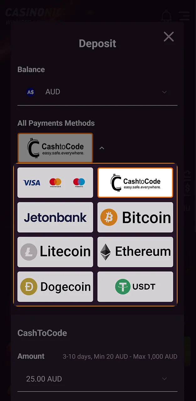 Select a reliable payment provider for your next Casinonic deposit.