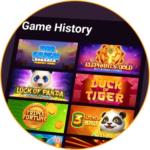 Use the Casinonic app for offline access to your personal history.